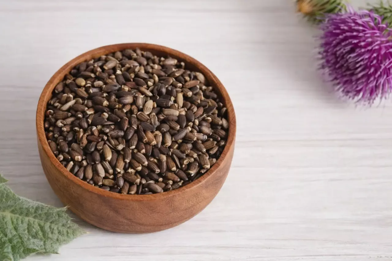 Расторопша для печени – как принимать: подробное руководство по применению природного целителя