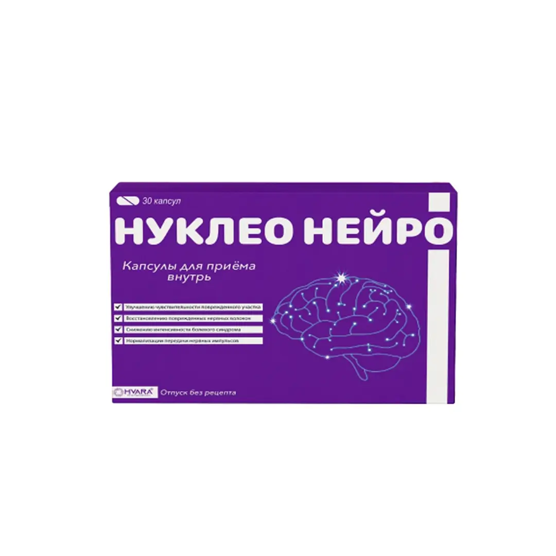 Nukleo neyro kaps. №30